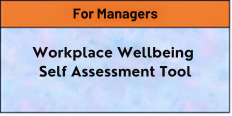 Workplace Wellbeing Self Assessment Tool